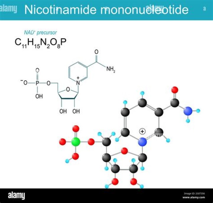 Nicotinamide adénine dinucléotide définition et explications