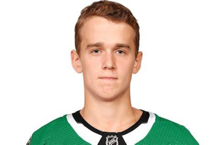 Nils Lundkvist Stats & Facts Elite Prospects