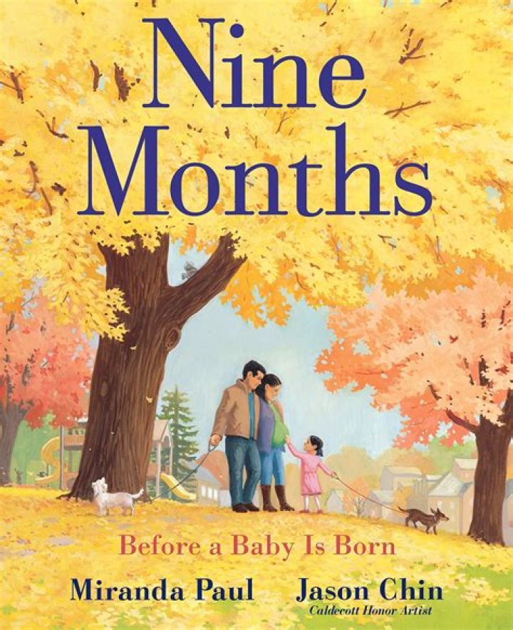 Nine Months Before A Baby Is Born Review The Baby Spot