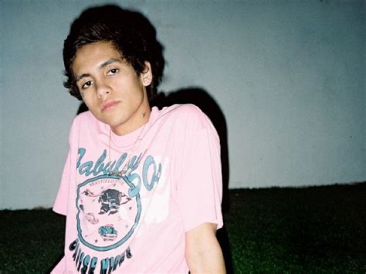 Now or Never The Chaotic Rise of Dominic Fike Complex