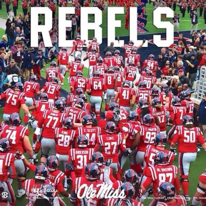 Ole Miss' Colby Bortles, Tate Blackman earn preseason AllSEC honors