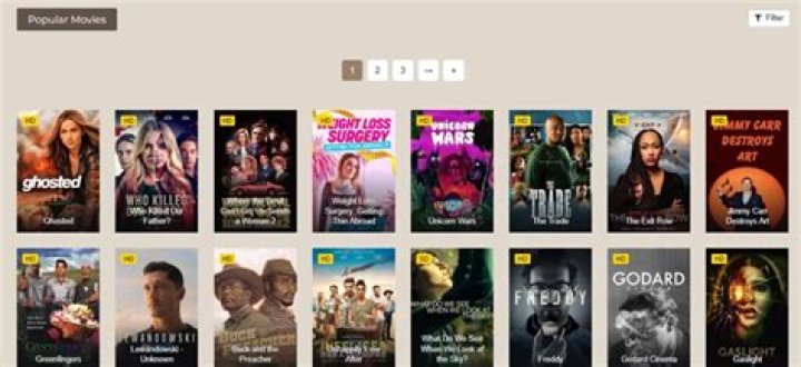 Omgflix Watch the Latest Movies and Tv Shows Safely Of All Country in