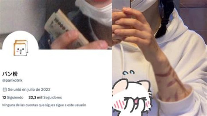 PANKOTNK EL PEOR USUIARIO DE TWITTER Y LA RED DE LA AUTOLON YouTube