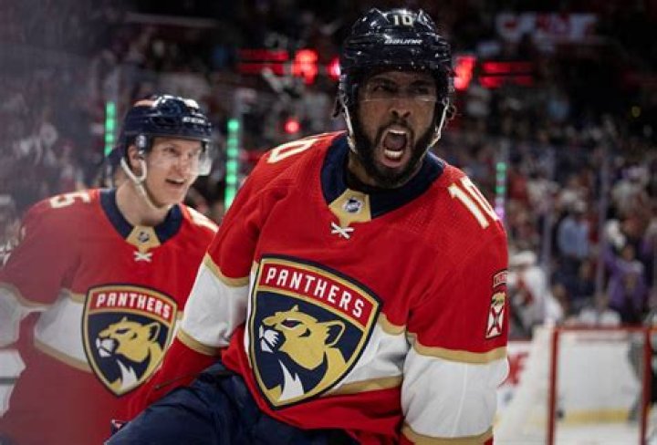 Panthers Anthony Duclair Wife Is He Married? Relationship Status