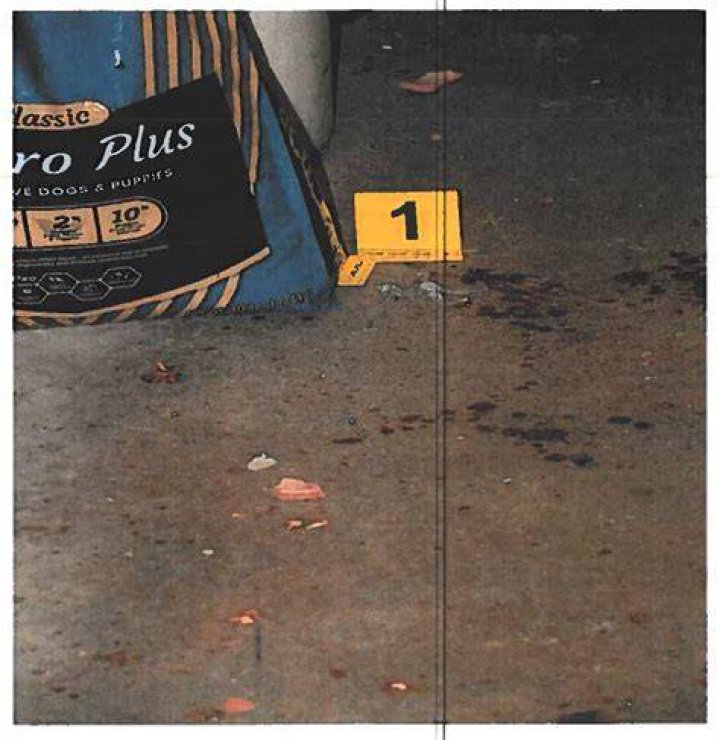 Paul Murdaugh Autopsy Photos Graphic Obituary And Body Internewscast