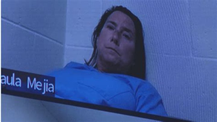 Paula Mejia Denmark 47YearOld Charged With Homicide By Intoxicated