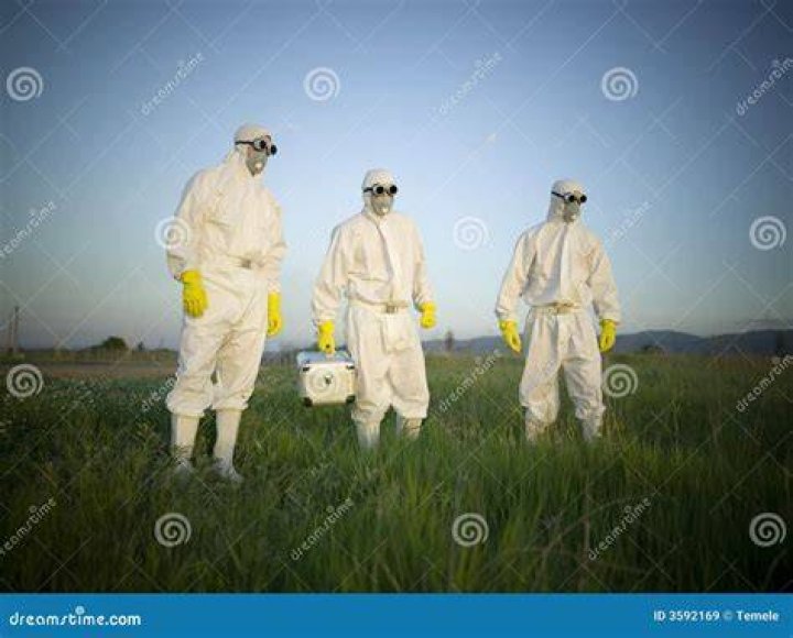 People with mascs stock image. Image of searching, belt 3592169
