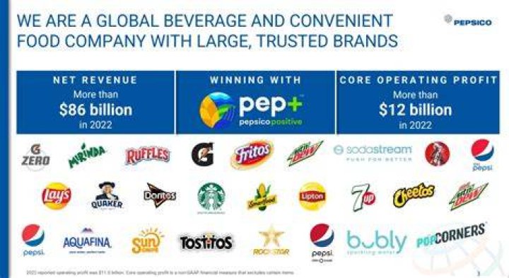 Pepsi Net Worth 20122021 BusinessBlizz