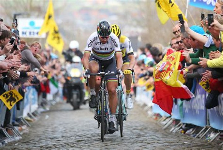 Peter Sagan Net Worth 2023 Salary Assets Career Age Wife