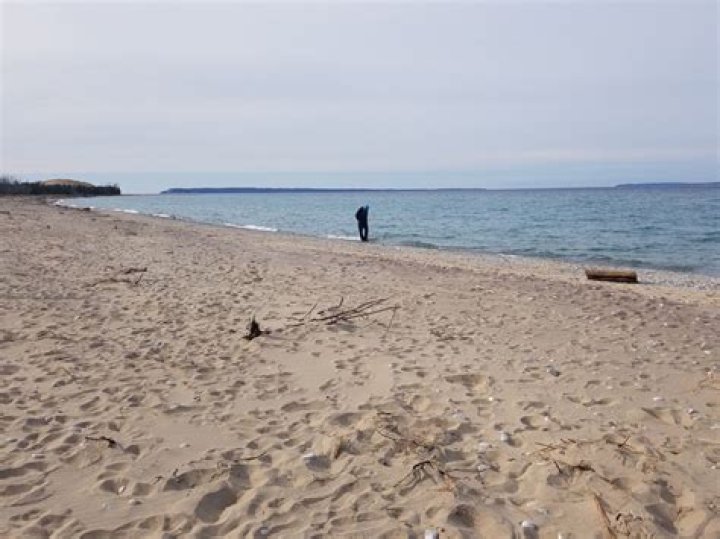Petoskey Stone Hunting 10 Beaches Where You Can Find Michigan's State