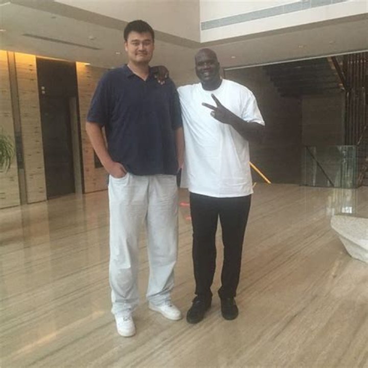 Photo Of Yao Ming Making Shaq Look Short Really Puts Yao Ming's Height