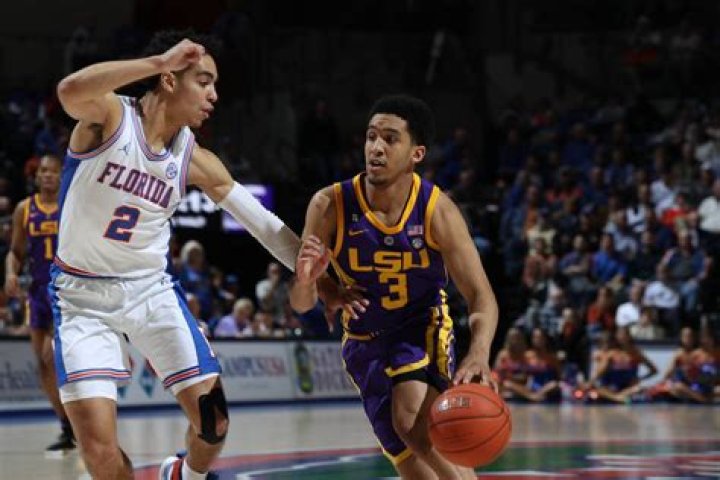 PHOTOS LSU outlasts Florida in extra innings to take Game 1 of College