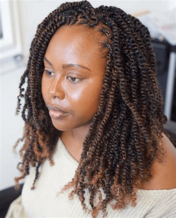 Pictures Of Afro Kinky Twists And Braids Amature Housewives