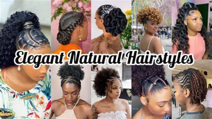 Pictures of Elegant Natural Hairstyles