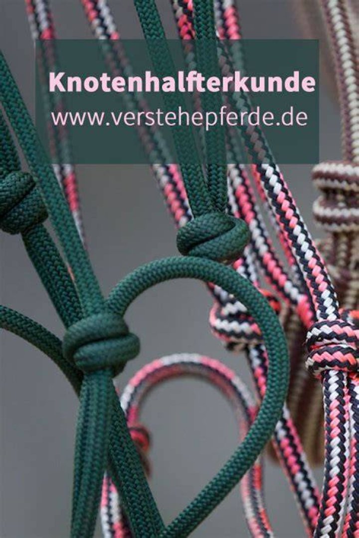 Pin auf Horsemanship