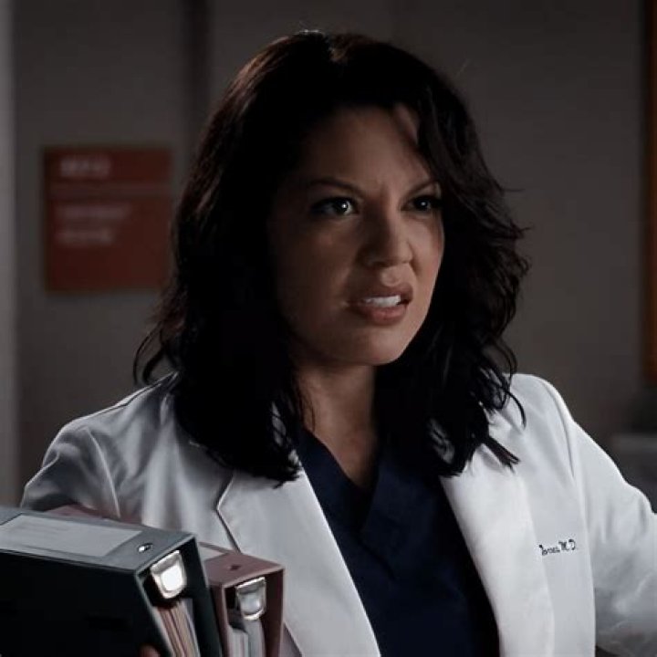 Pin em Sara Ramirez on Set Season 12
