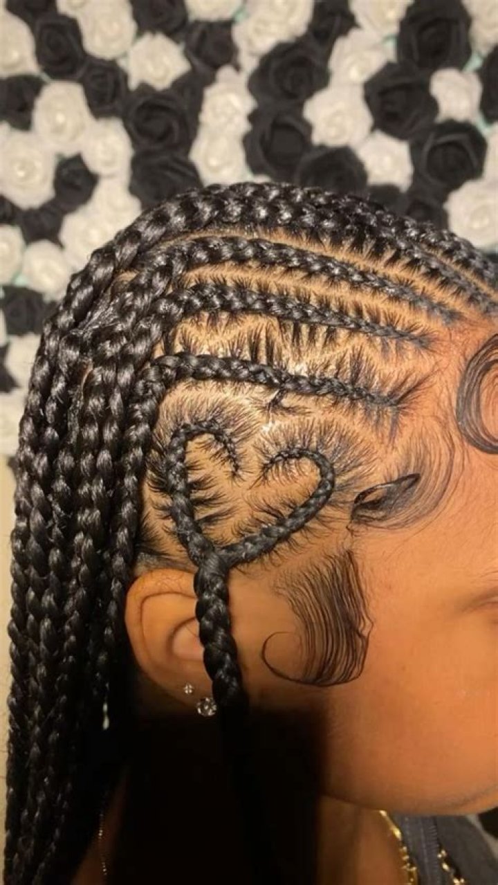 Pin on Braids for black hair