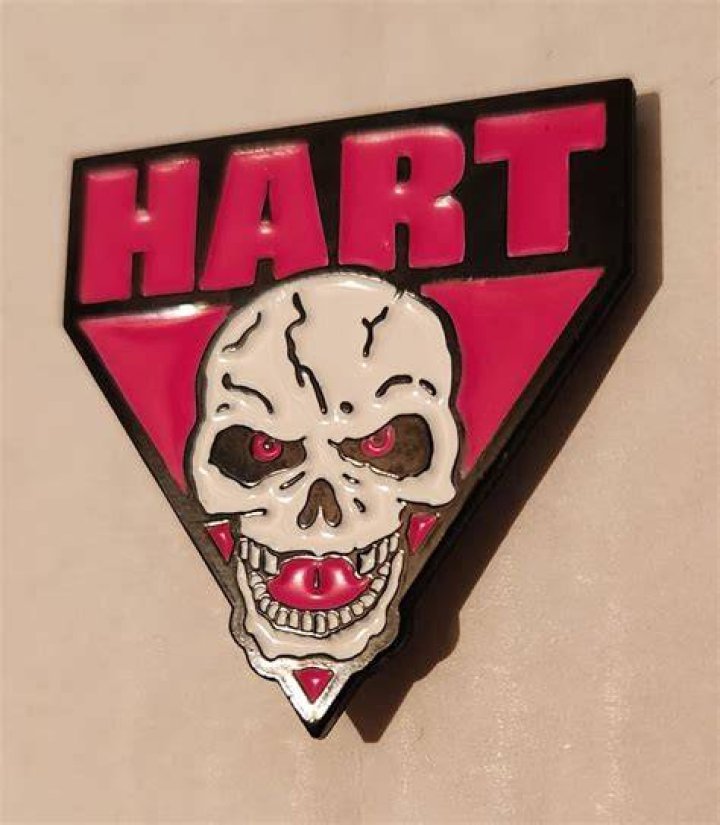 Pin on bret hart n roddy piper