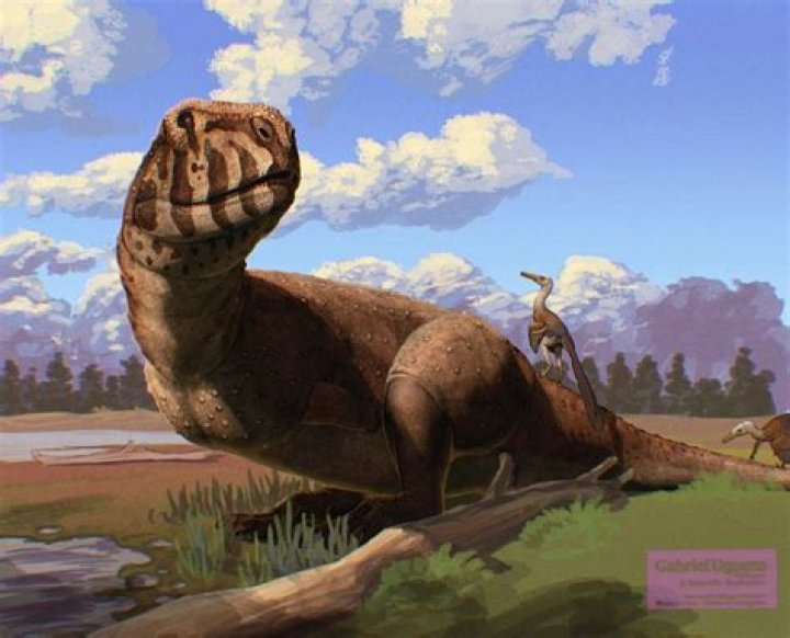 Pin on Dinosaurs