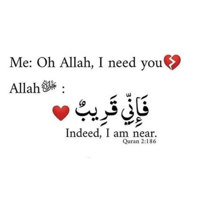 Pin on I love Allah,Quran, Islam, the Prophet, Miracles , Hadith