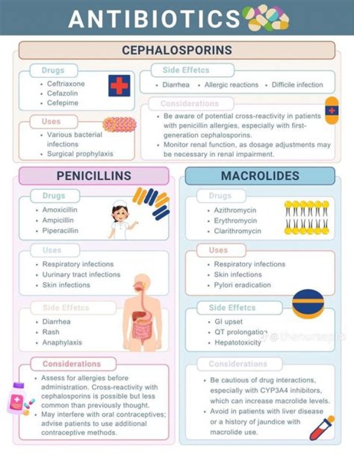 Pin on Nursing Education