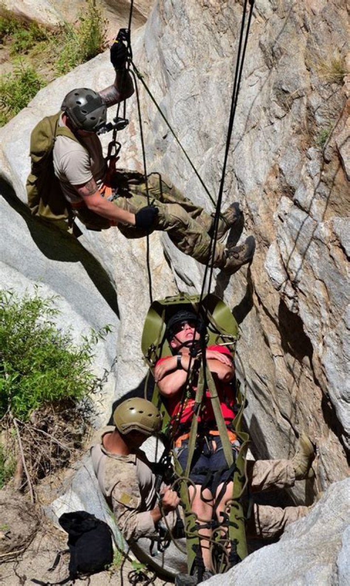 Pin on Rescue