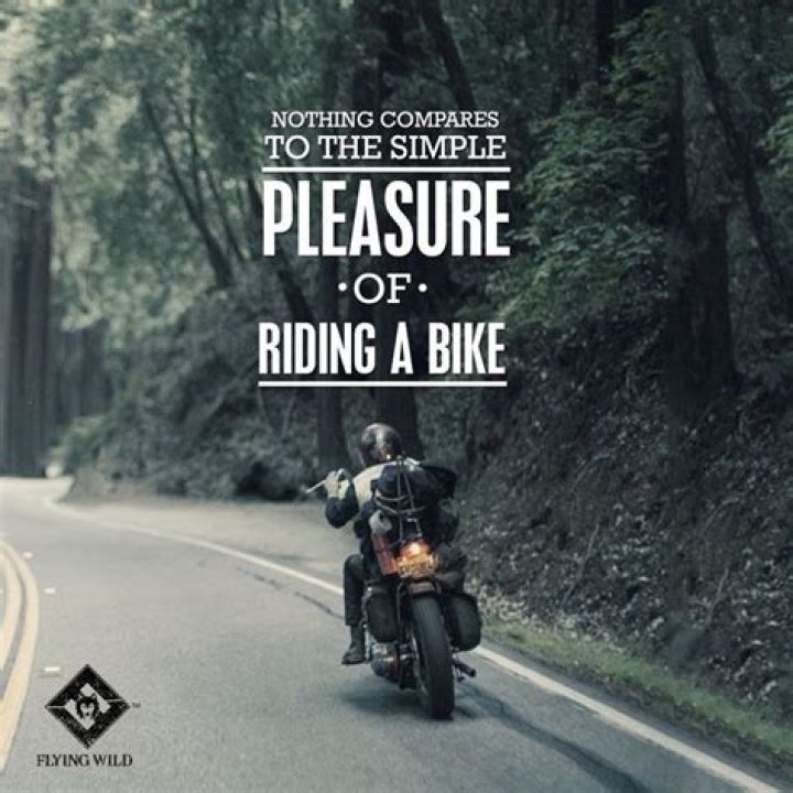 Pin on Rider quotes