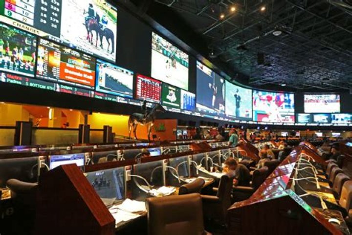 Pin on Sports, Betting, Casinos, Gambling (Group board)