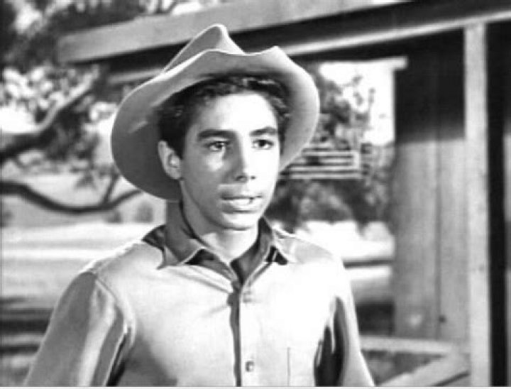Pin on The Rifleman