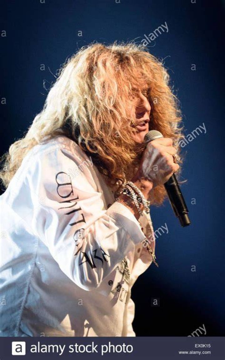 Pin on whitesnake