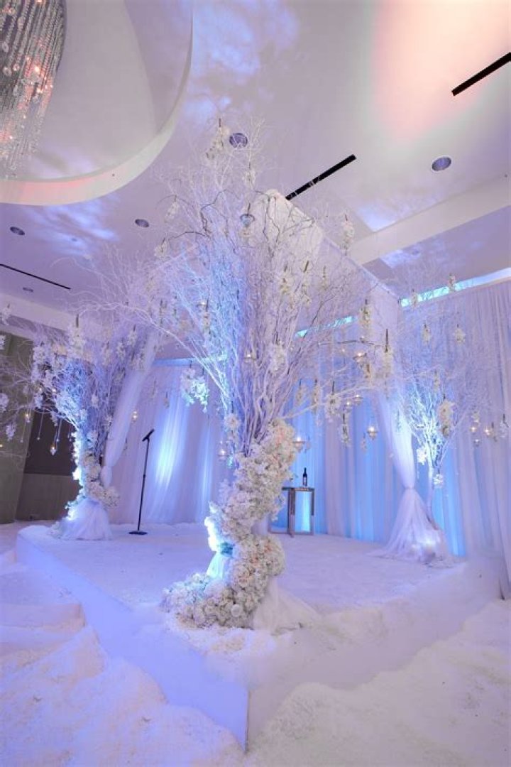Pin on Winter wonderland wedding