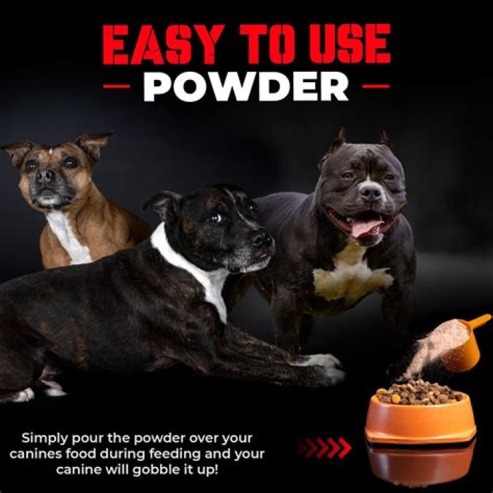 Pitbull entertainer wife, dog food analysis 2015, how do you stop a