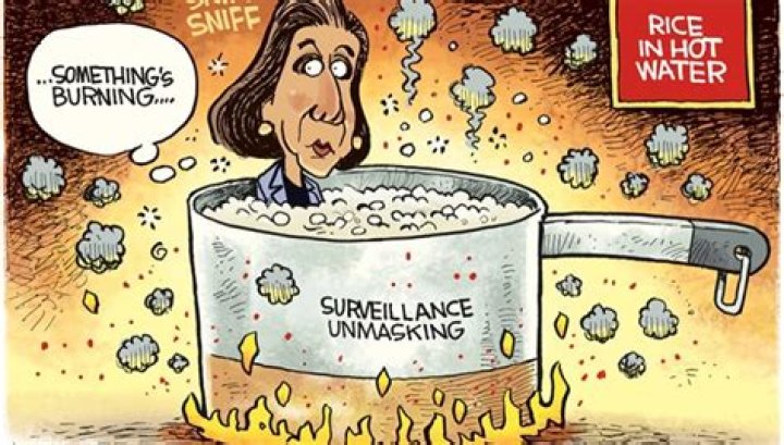 Political Cartoon U.S. Susan Rice Trump Unmasking Surveillance The Week
