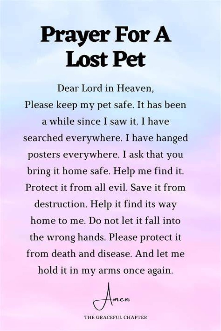 Prayer for lost pets Fun Animal Love Pinterest Dog, Animal and