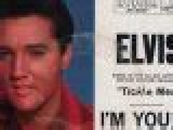 Presley v. Hanks (1989) [Illegitimate Daughter] PRESLAW