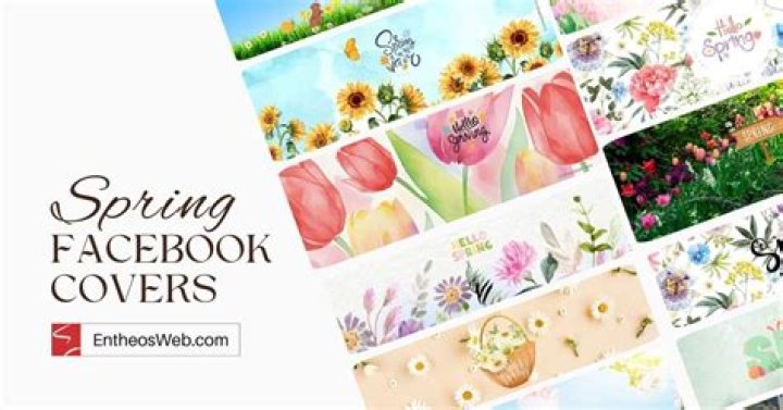 Pretty Facebook Covers Download Wallpapers Umbrella Free Hd Cute