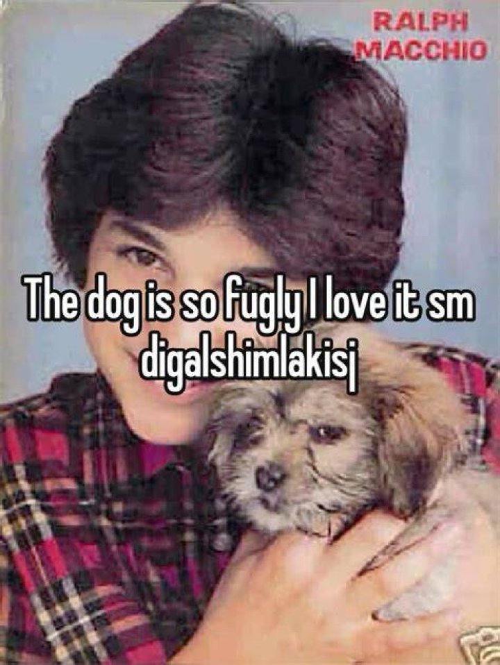 ralph macchio with dog Ralph Macchio Photo (42202908) Fanpop