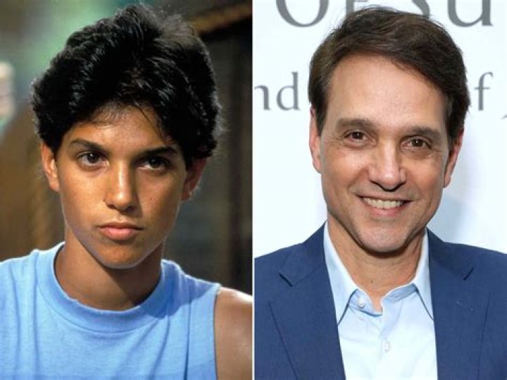 Ralph Macchio's Hair Human Hair Exim