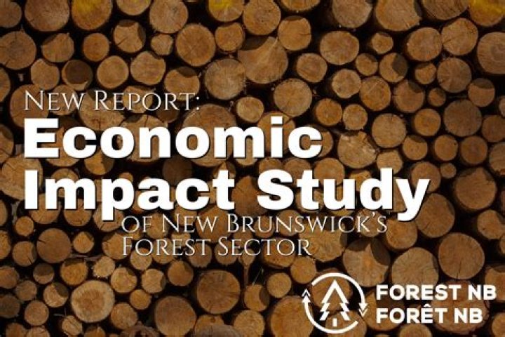 Recovery of New Brunswick economy after COVID19 main election