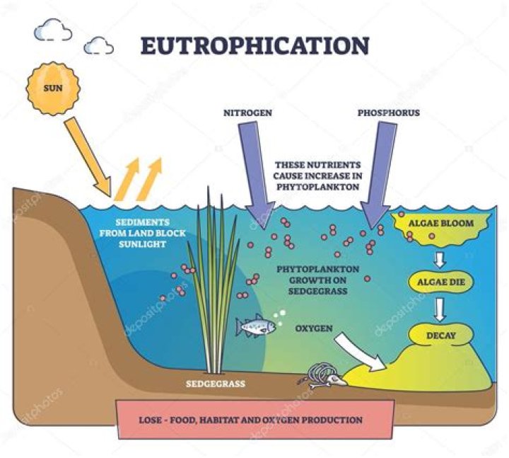 Regional Eutrophication