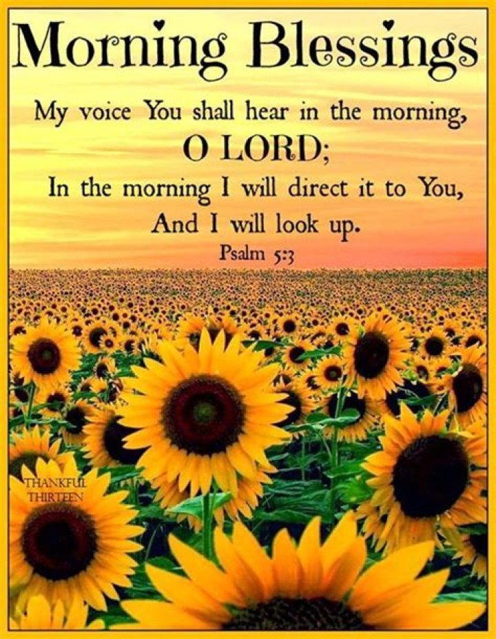 Religious Morning Blessings Quote Pictures, Photos, and Images for