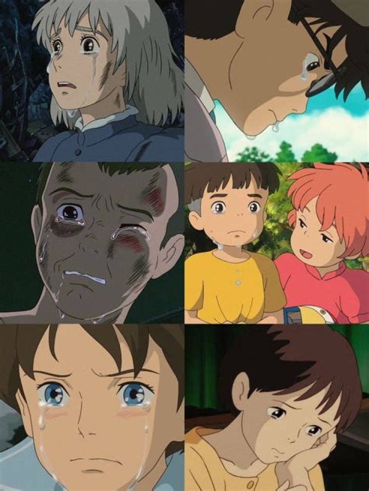 Remarks on Studio Ghibli's 'dismantling' sows confusion The Japan Times