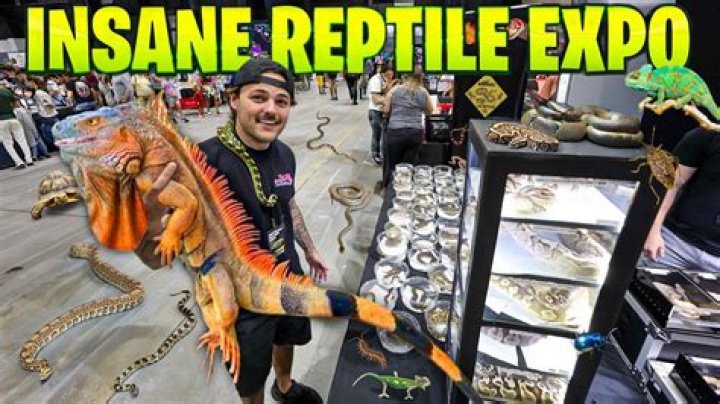 Reptile Show/ Expo YouTube