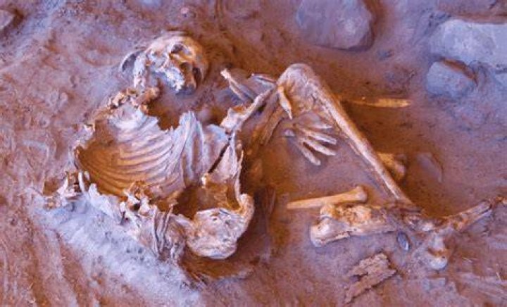 Researchers found unknown human ancestor in the DNA of the Melanesians