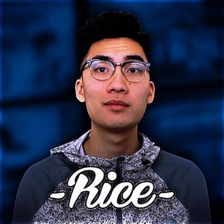 RiceGum's Net Worth + (Earnings Per Video & Year) VloggerG