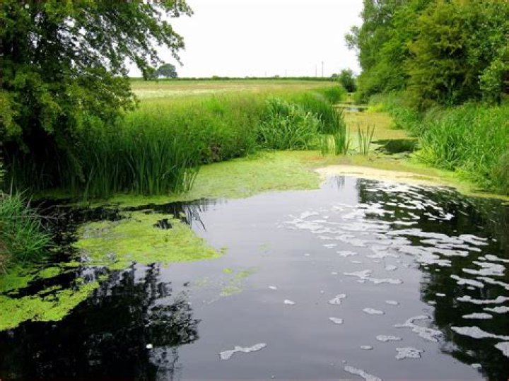 RIVER RAY Otmoor, Oxfordshire. Norfolkboy1 Flickr
