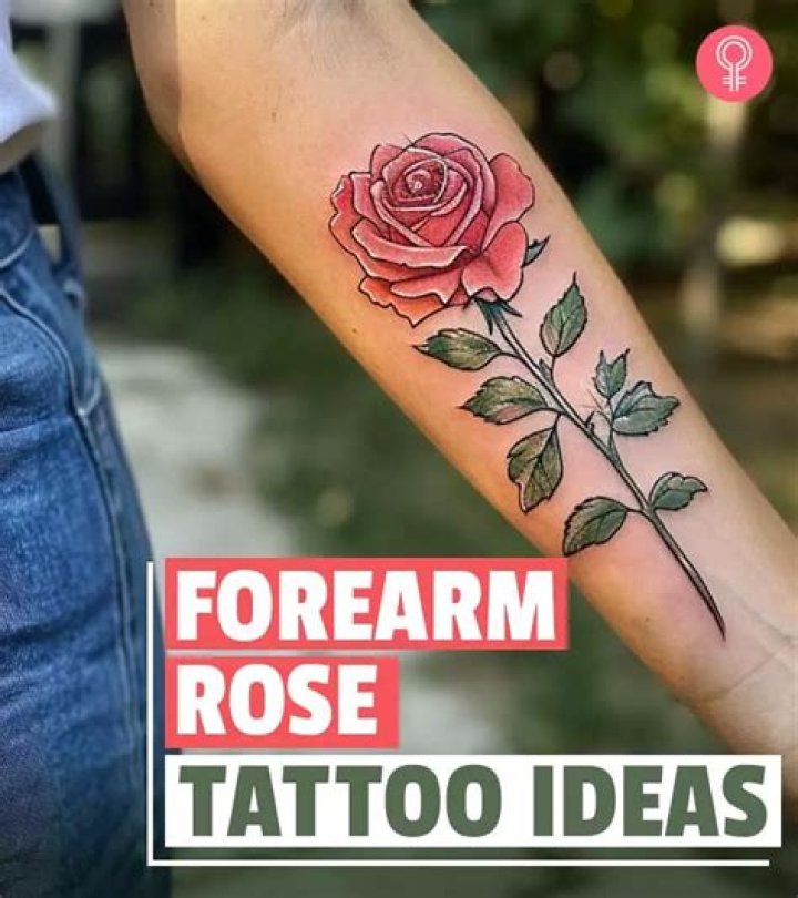 Rose Forearm Tattoo Designs, Ideas and Meaning Tattoos For You