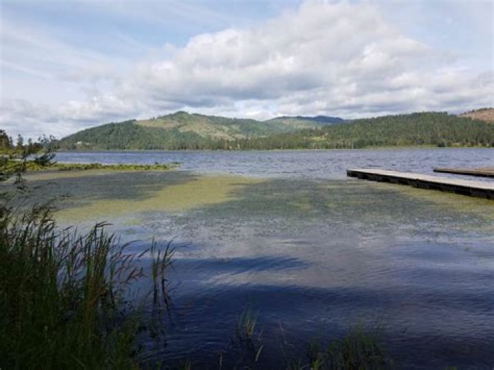 Rose Lake The Dyrt