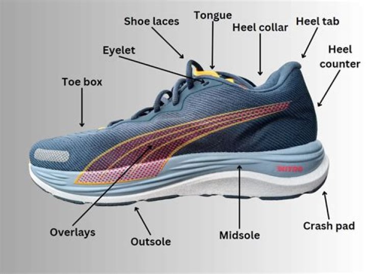 Running shoe definition and meaning Collins English Dictionary