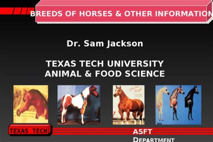 Sam Jackson Texas A&M University Dallas, Texas, United States